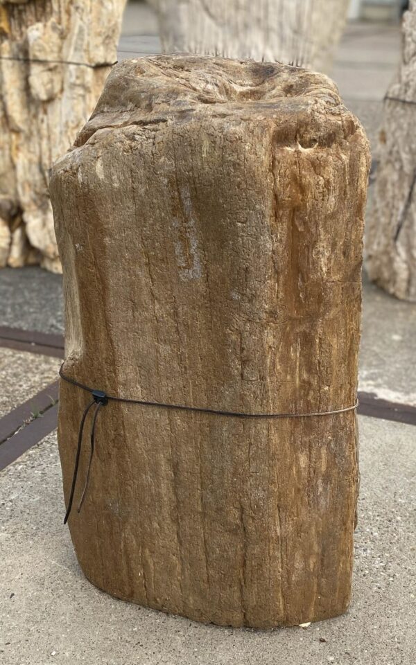 Memorial stone petrified wood 55037