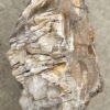 Memorial stone petrified wood 55038