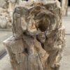 Memorial stone petrified wood 55038