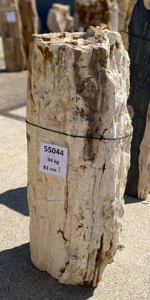 Memorial stone petrified wood 55044