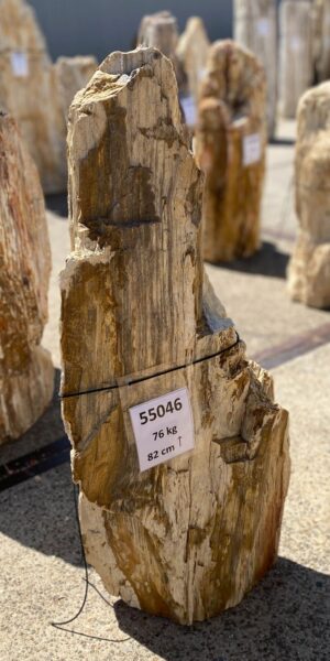 Memorial stone petrified wood 55046