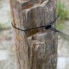 Memorial stone petrified wood 55047
