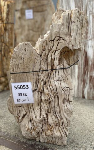 Memorial stone petrified wood 55053