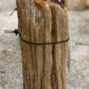 Memorial stone petrified wood 55054