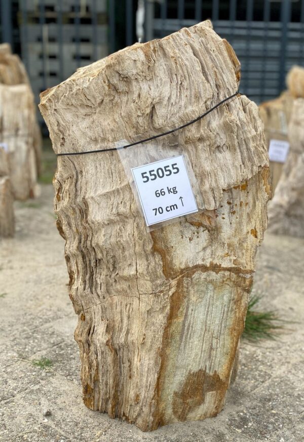 Memorial stone petrified wood 55055