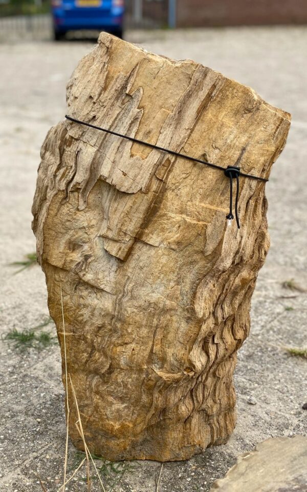 Memorial stone petrified wood 55055