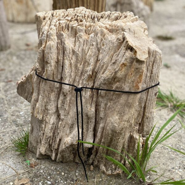 Memorial stone petrified wood 55061