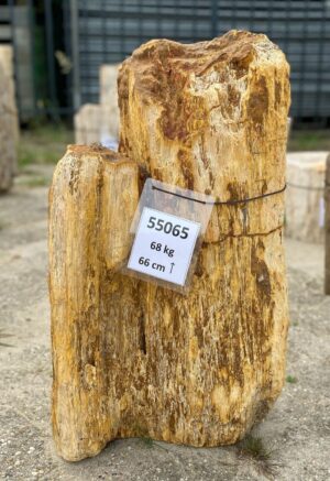 Memorial stone petrified wood 55065