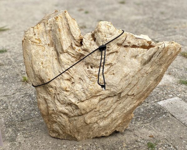 Memorial stone petrified wood 55069