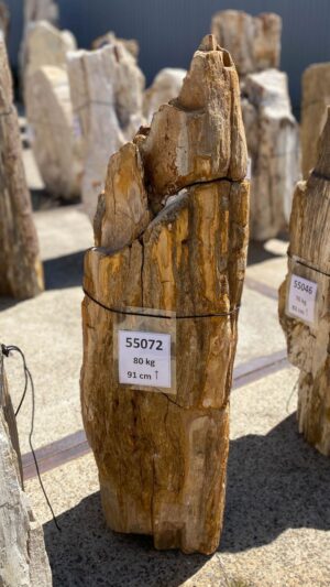 Memorial stone petrified wood 55072