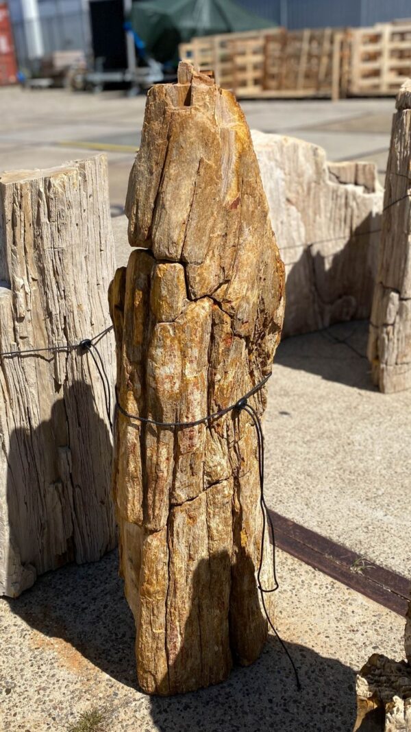 Memorial stone petrified wood 55072