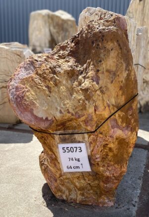 Memorial stone petrified wood 55073