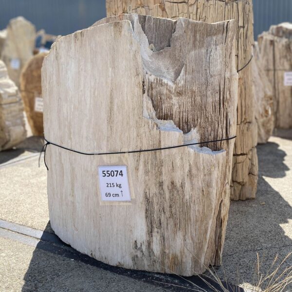 Memorial stone petrified wood 55074