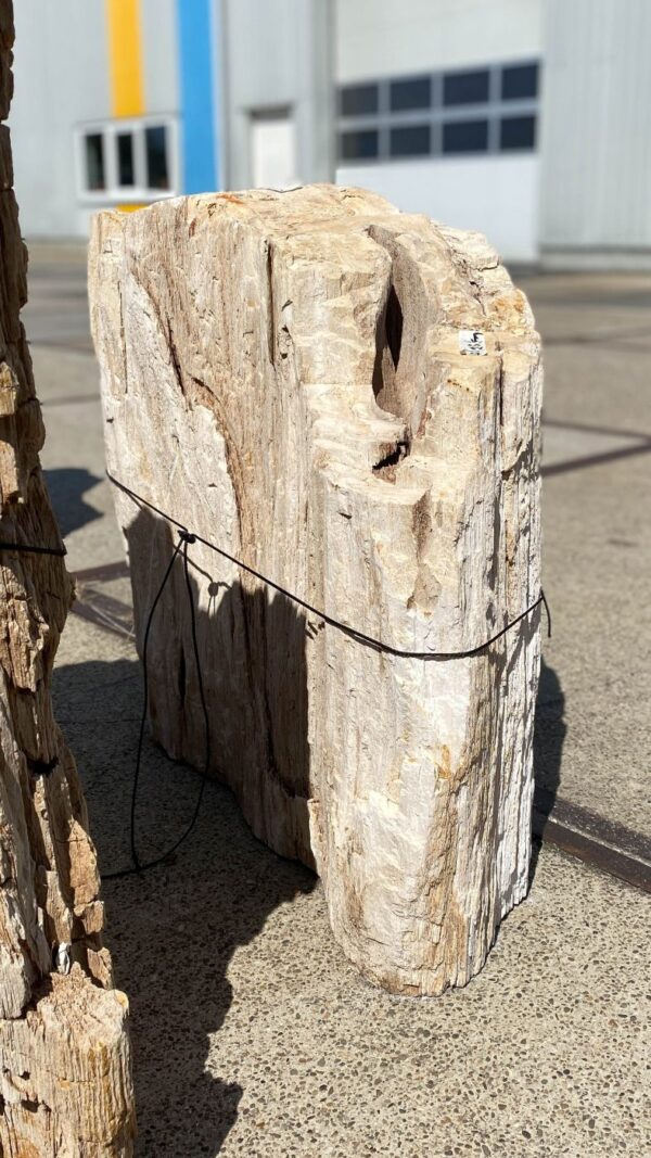 Memorial stone petrified wood 55074