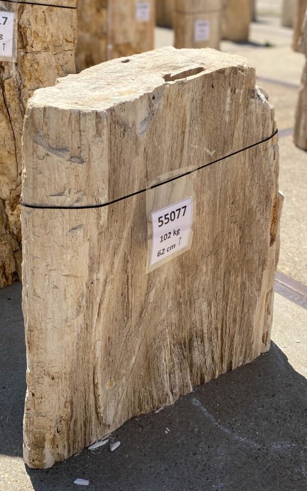 Memorial stone petrified wood 55077