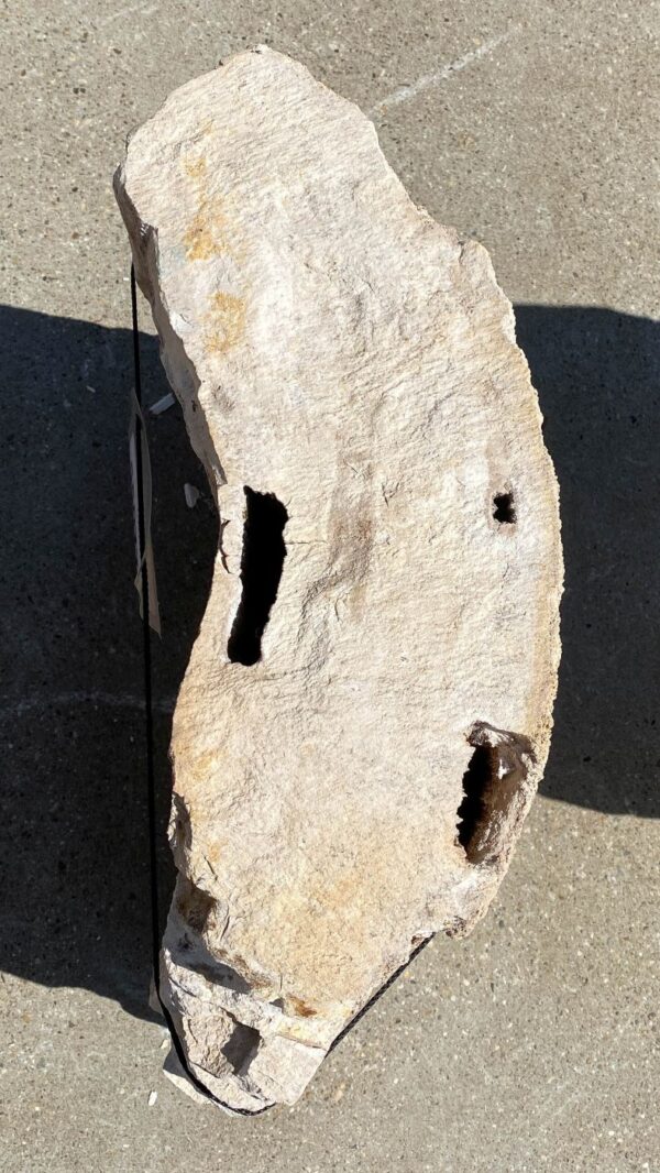 Memorial stone petrified wood 55077