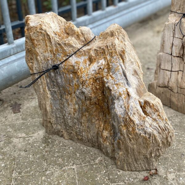 Memorial stone petrified wood 55081