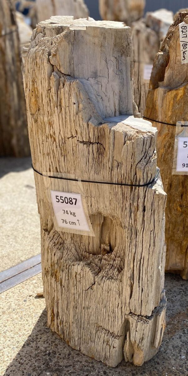 Memorial stone petrified wood 55087