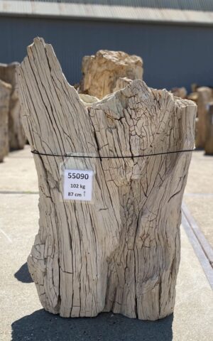 Memorial stone petrified wood 55090