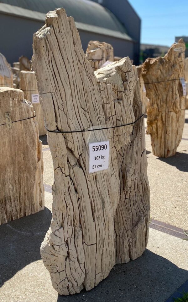 Memorial stone petrified wood 55090