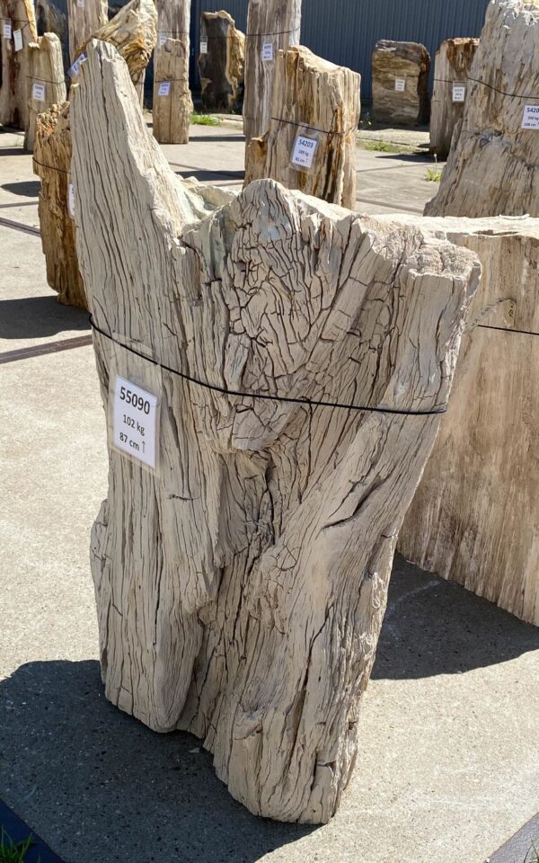 Memorial stone petrified wood 55090