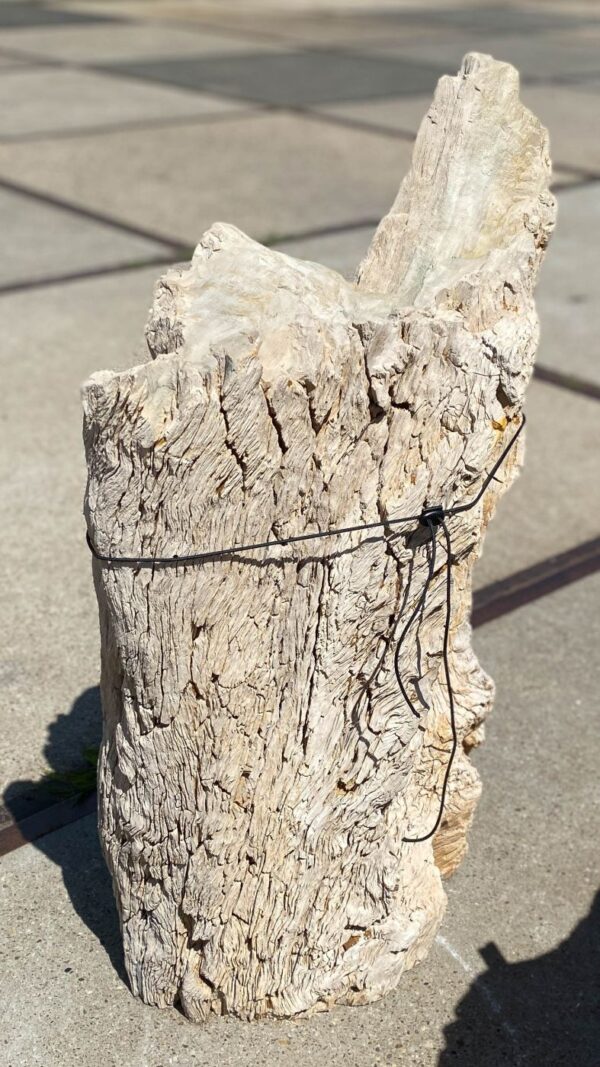 Memorial stone petrified wood 55090