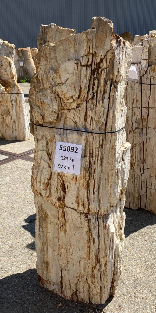 Memorial stone petrified wood 55092