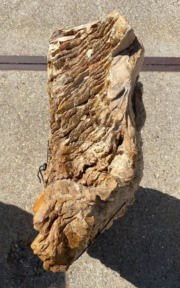 Memorial stone petrified wood 55092