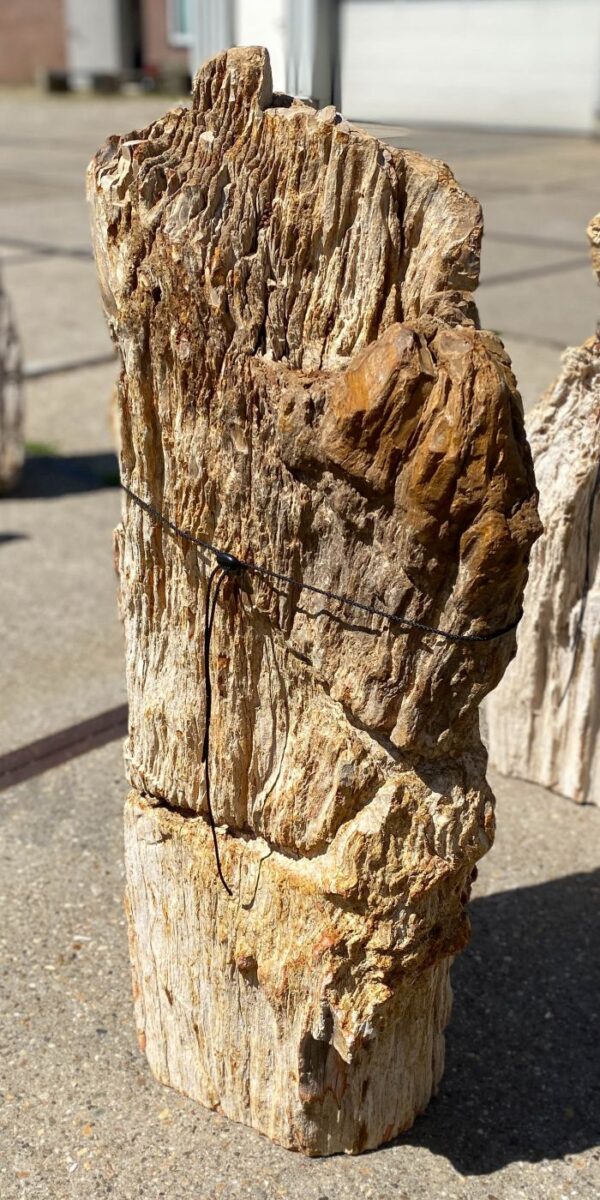 Memorial stone petrified wood 55092