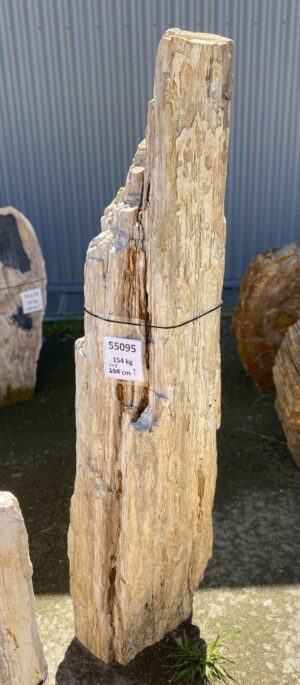 Memorial stone petrified wood 55095