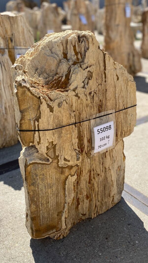 Memorial stone petrified wood 55098