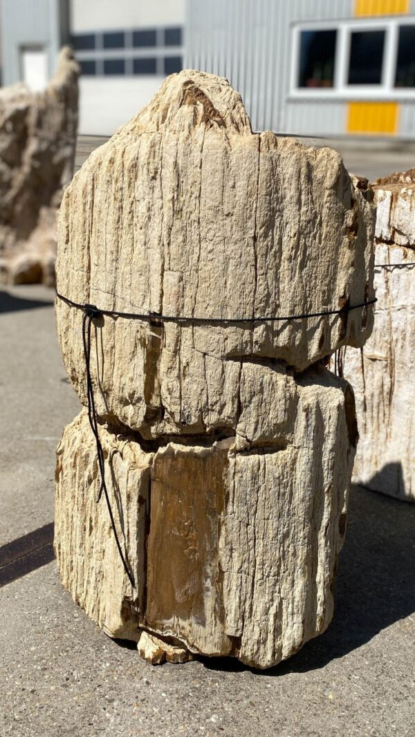 Memorial stone petrified wood 55098