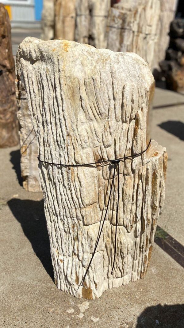 Memorial stone petrified wood 55099