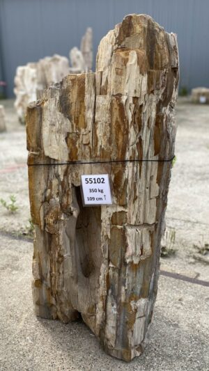 Memorial stone petrified wood 55102