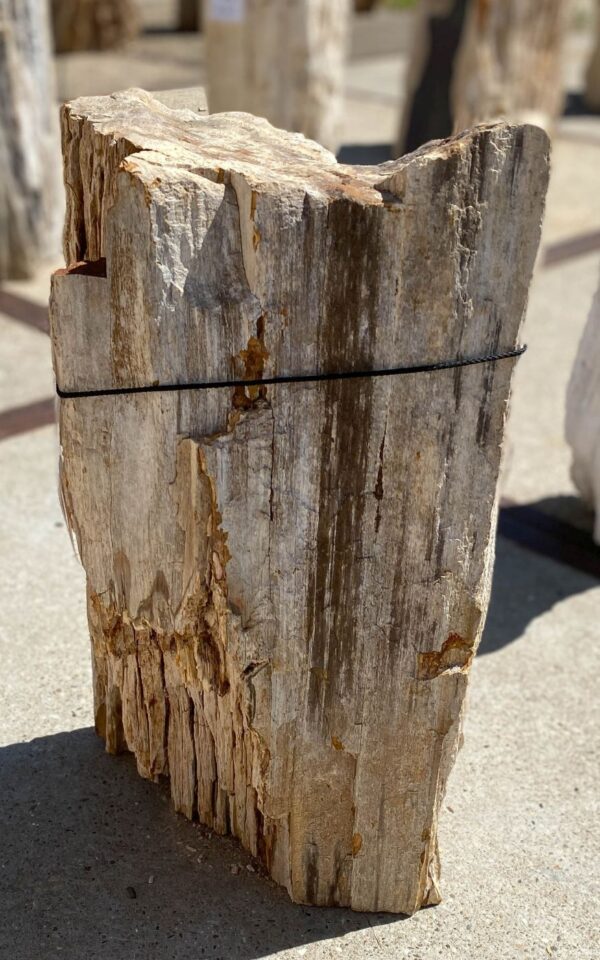 Memorial stone petrified wood 55104