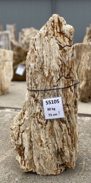 Memorial stone petrified wood 55105