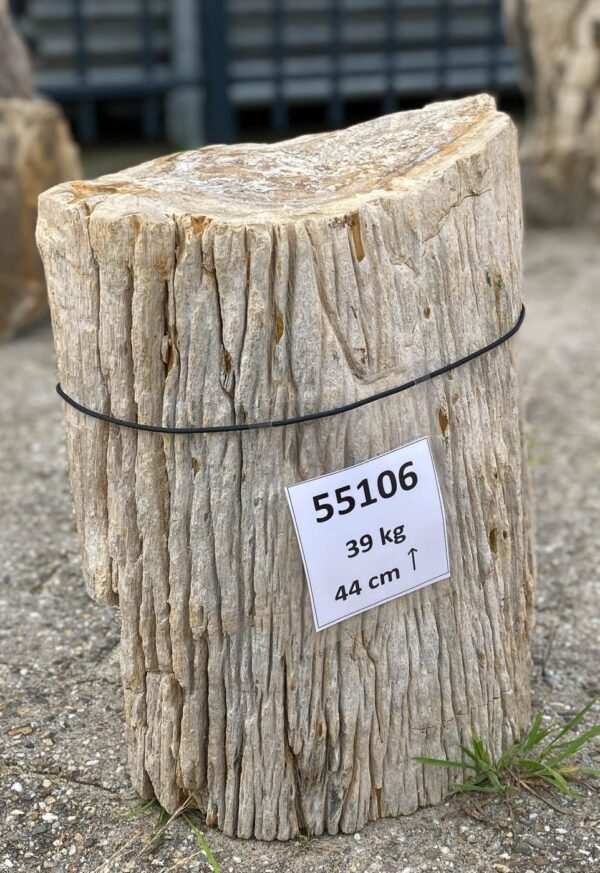 Memorial stone petrified wood 55106