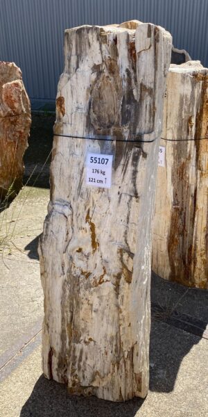 Memorial stone petrified wood 55107