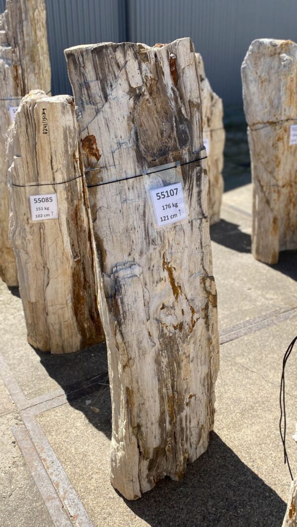 Memorial stone petrified wood 55107