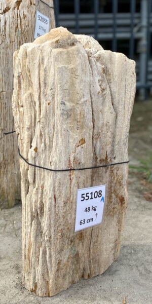 Memorial stone petrified wood 55108