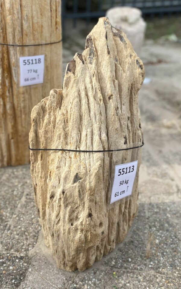 Memorial stone petrified wood 55113