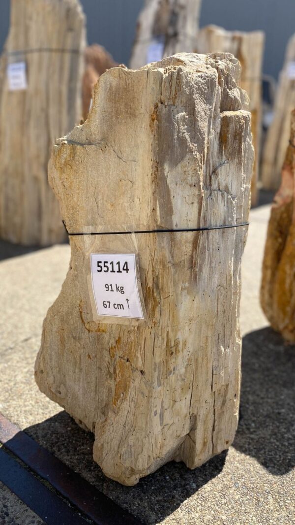 Memorial stone petrified wood 55114