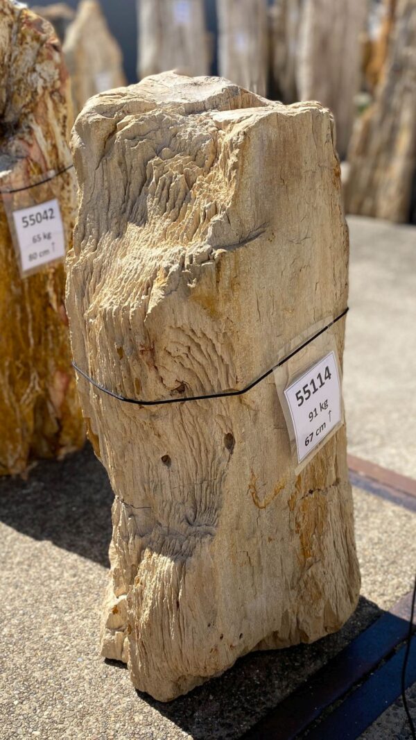 Memorial stone petrified wood 55114