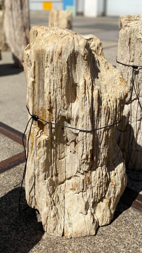 Memorial stone petrified wood 55114