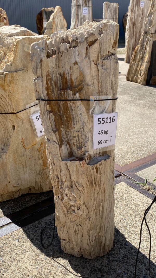 Memorial stone petrified wood 55116