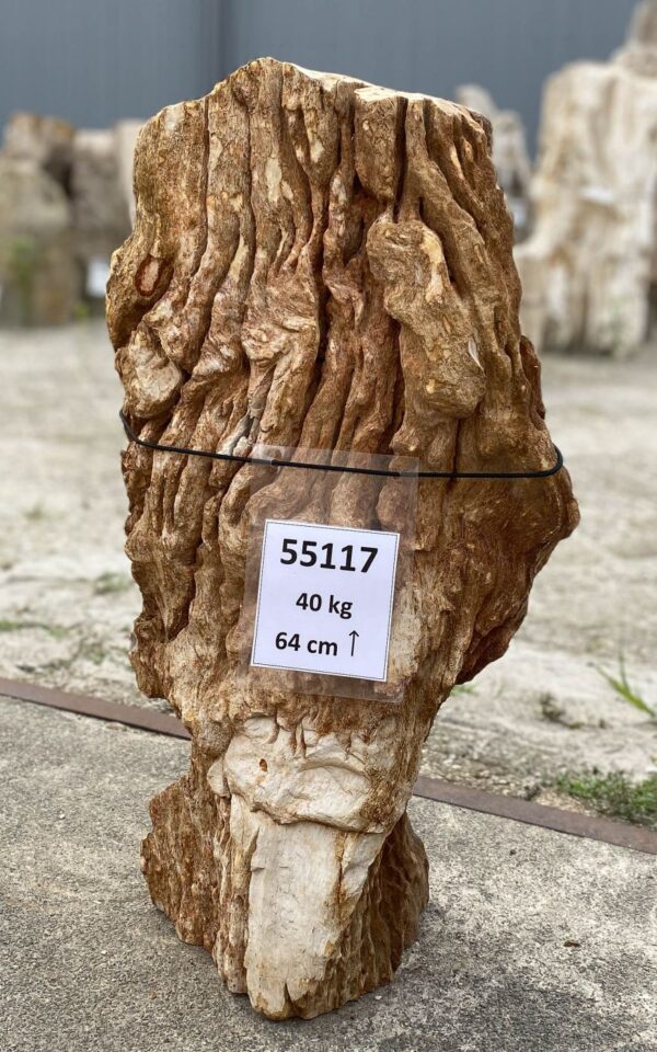 Memorial stone petrified wood 55117