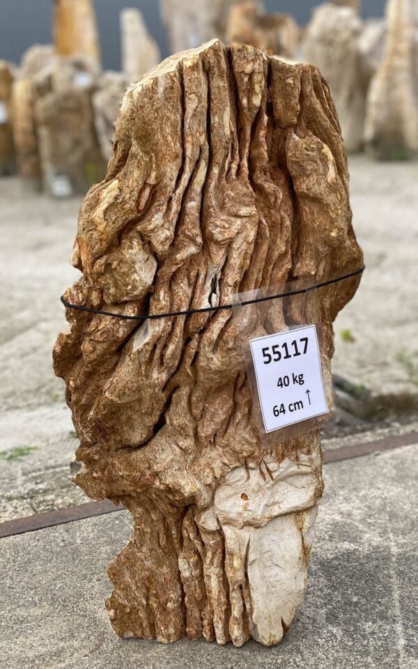 Memorial stone petrified wood 55117