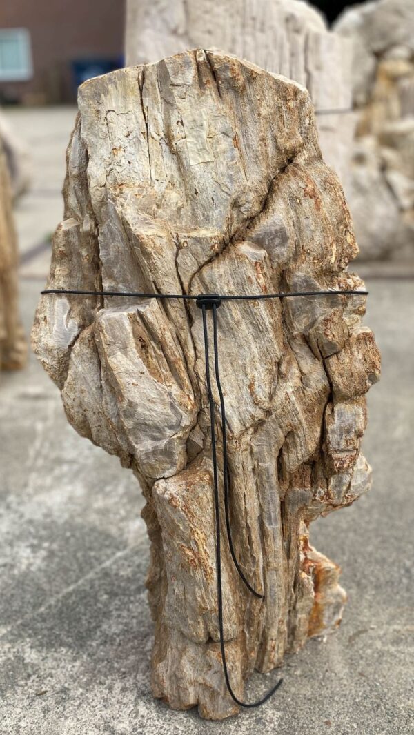 Memorial stone petrified wood 55117