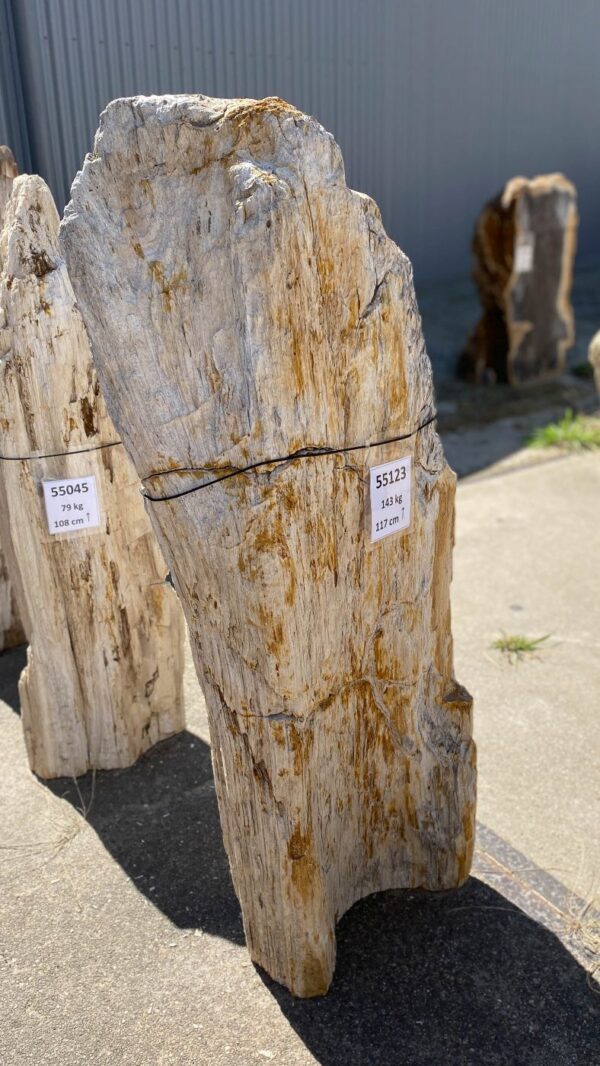 Memorial stone petrified wood 55123