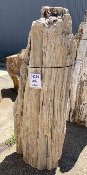 Memorial stone petrified wood 55124